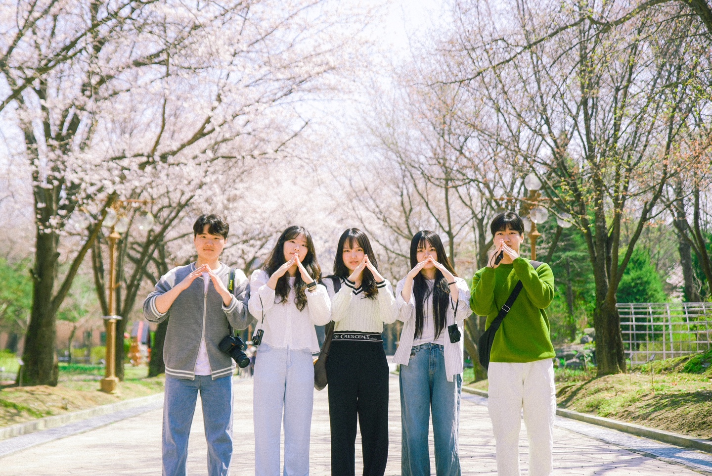 동아리 피너스 이미지